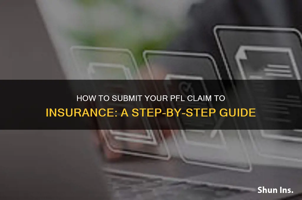 how do i give my pfl to my insurance
