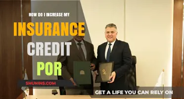 Boost Your Insurance Credit Score: Proven Strategies for Higher Savings