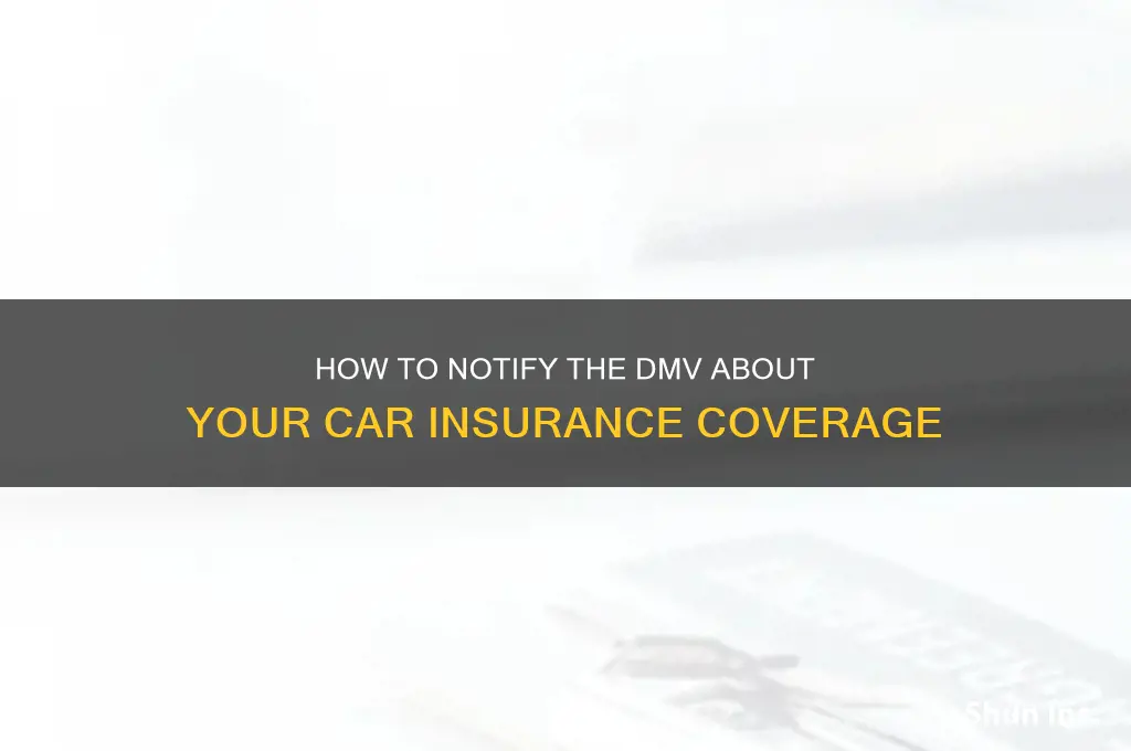 how do i inform the dmv about my insurance