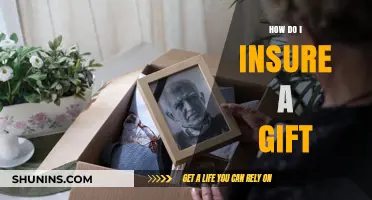 Insuring Your Precious Gifts: A Comprehensive Guide to Protecting Your Treasures