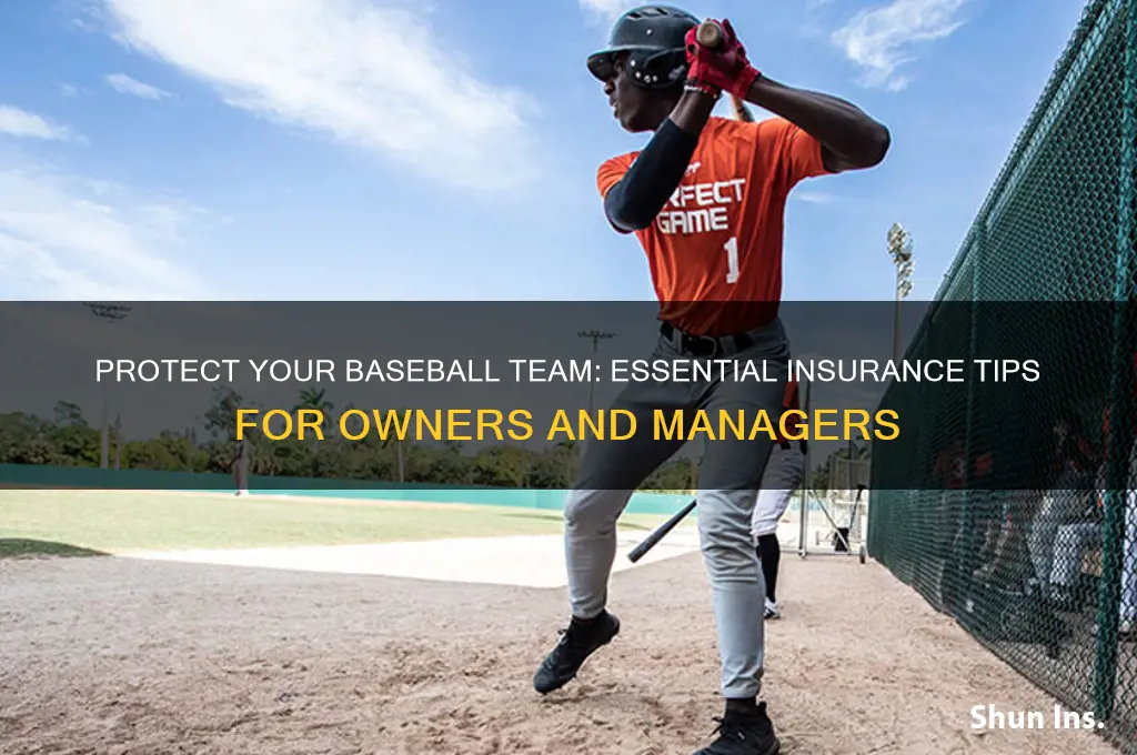 how do i insure my baseball team
