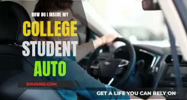 Insuring Your College Student's Auto: What You Need to Know