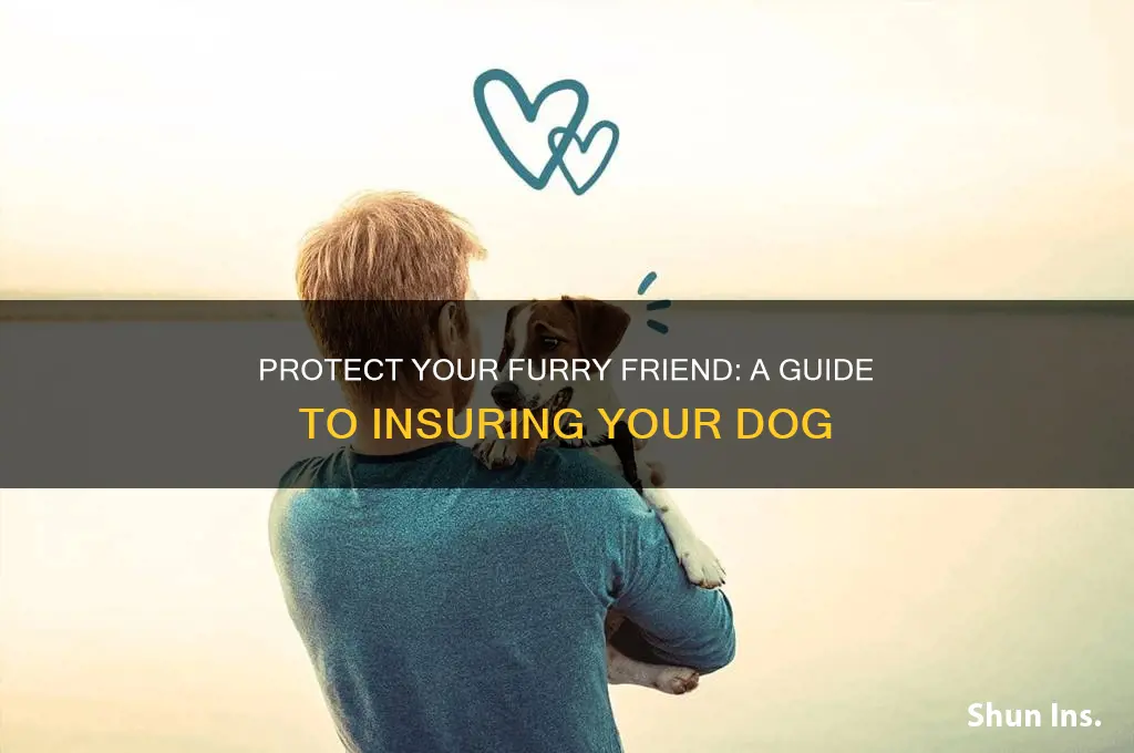 how do i insure my dog