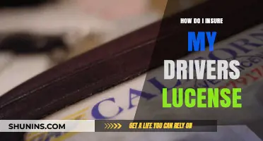 Insuring Your Driver's License: Essential Tips for Protection and Peace of Mind