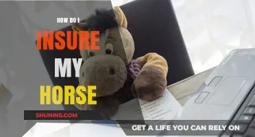 Essential Guide to Choosing the Right Horse Insurance Policy