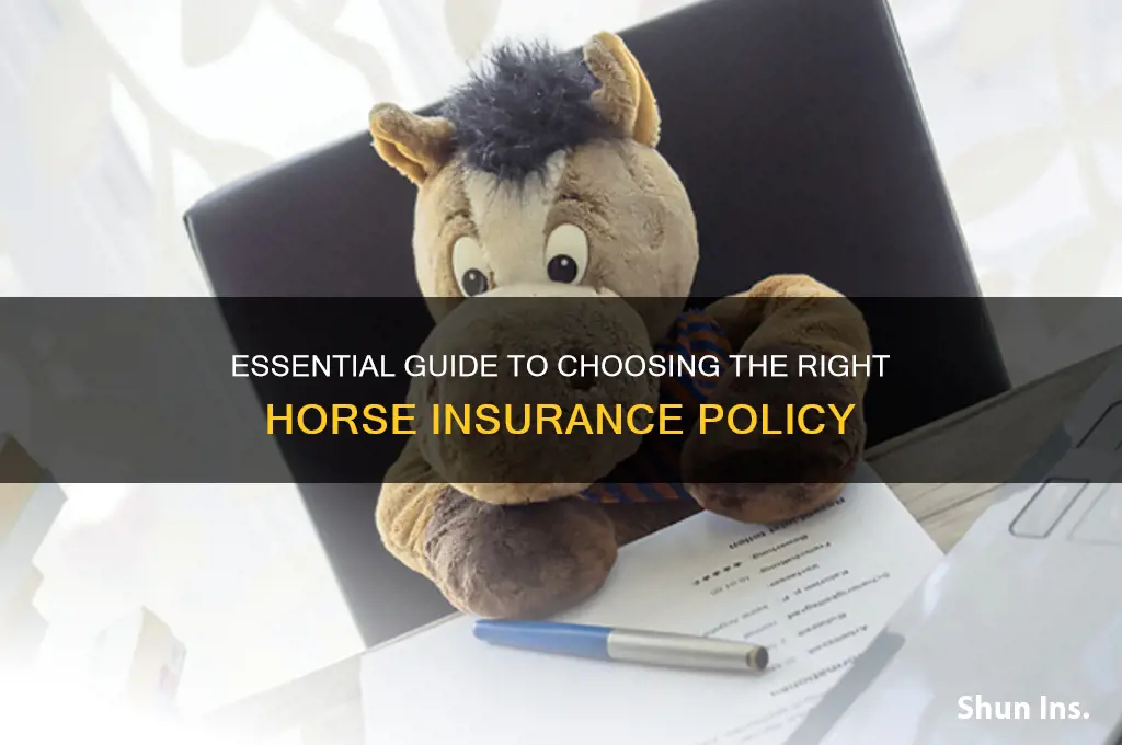 how do i insure my horse