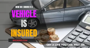 Is Your Vehicle Insured?