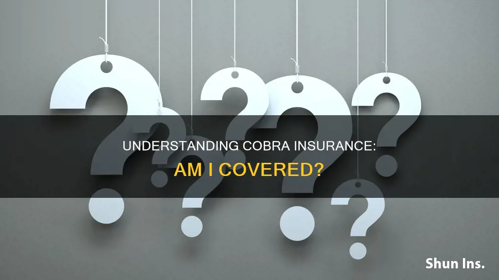 how do I know if I have cobra insurance