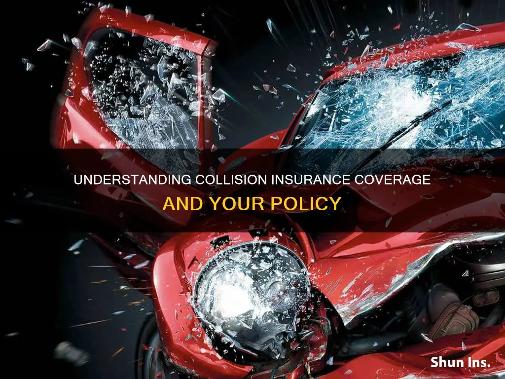 how do I know if I have collision insurance