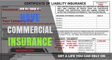 Understanding Your Insurance: Do You Have Commercial Coverage?