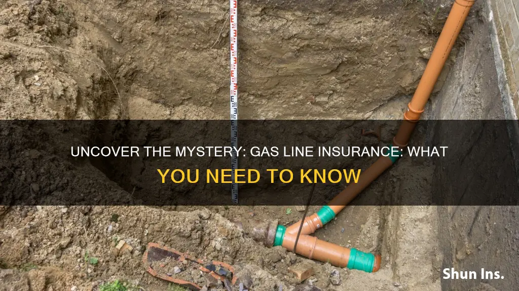 how do I know if I have gas line insurance