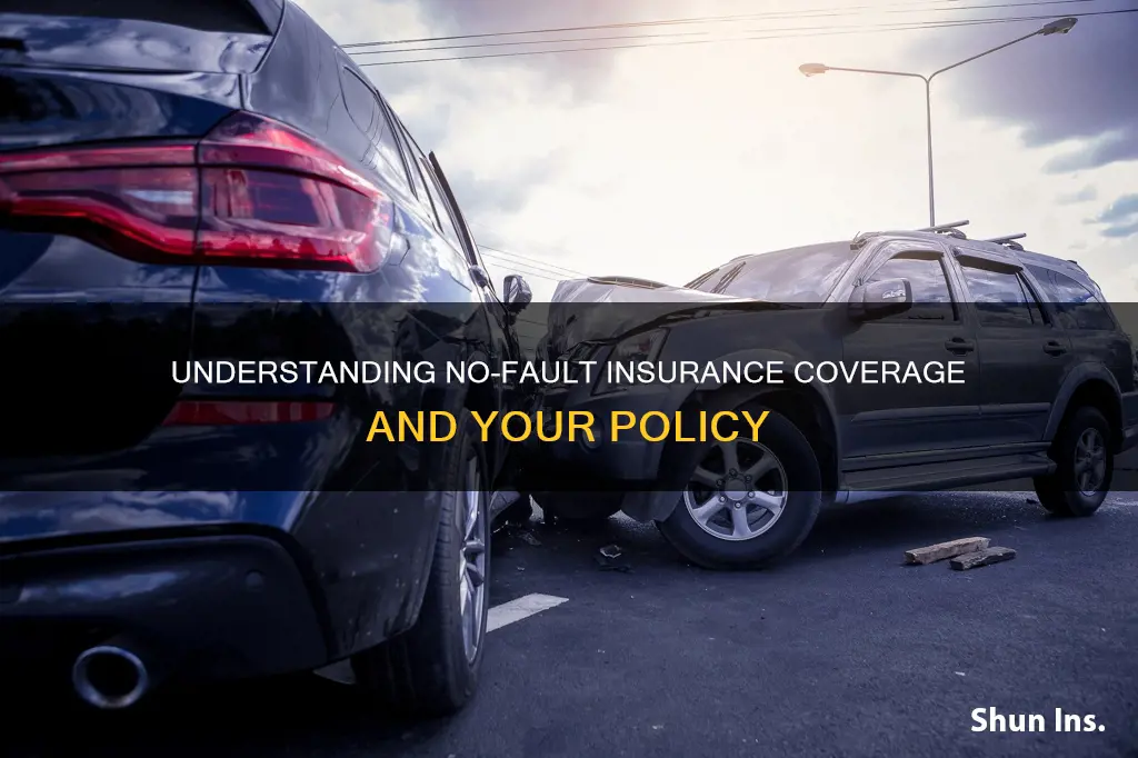 how do I know if I have no fault insurance