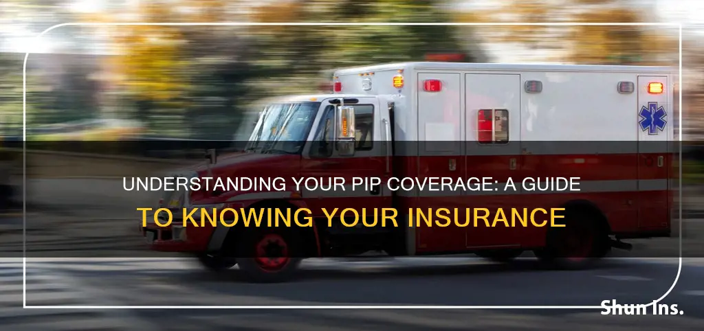 how do I know if I have pip insurance