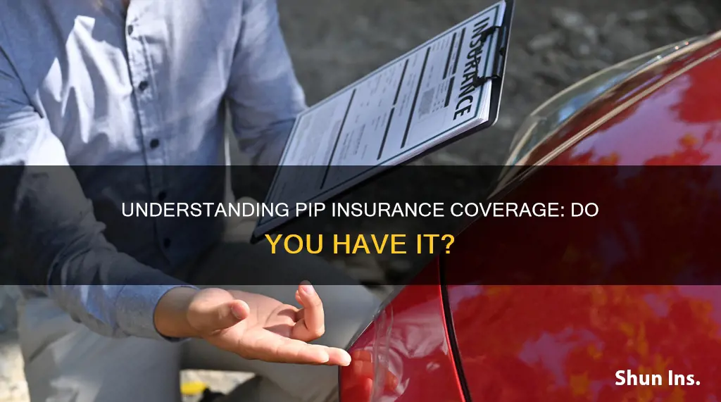 how do I know if I have pip insurance