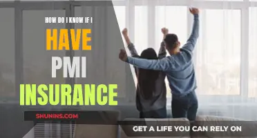 Understanding PMI Insurance: Do I Need It?