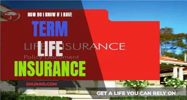 Term Life Insurance: Do You Have Coverage?