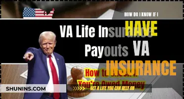 Understanding VA Insurance: A Comprehensive Guide to Your Coverage