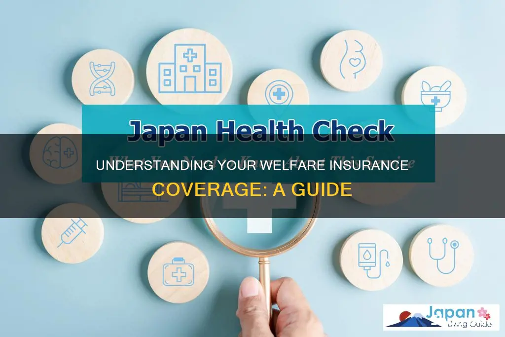 how do I know if I have welfare insurance