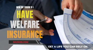 Understanding Welfare Insurance Coverage: Am I Insured?