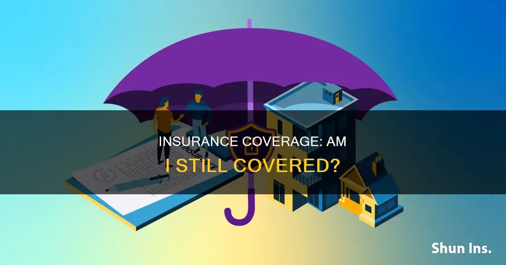 how do I know if I still have insurance