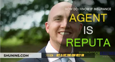 Choosing a Reputable Insurance Agent: What to Look For