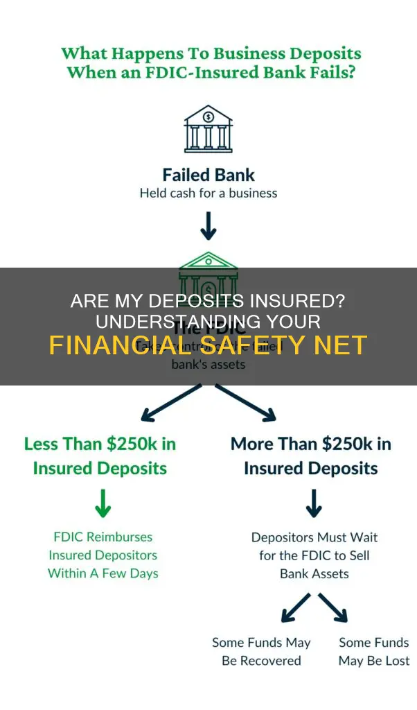 how do I know if my deposits are insured