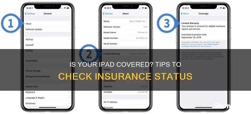 how do I know if my ipad has insurance