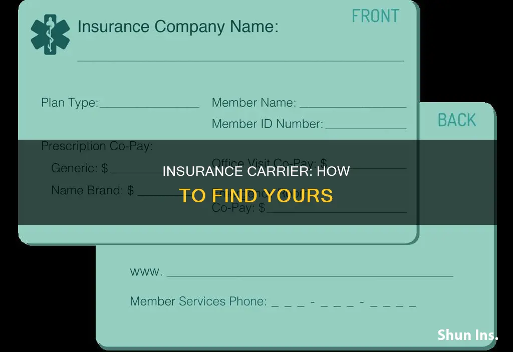 how do I know my insurance carrier name