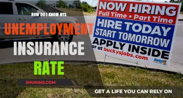 Understanding Your New York Unemployment Insurance Rate