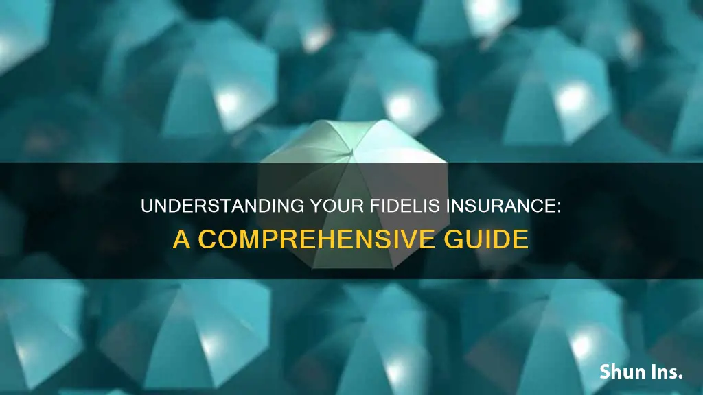 how do I know what kind of fidelis insurance