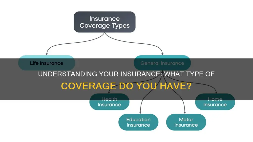 how do I know what kind of insurance I have
