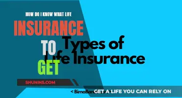 Life Insurance: Choosing the Right Policy for You