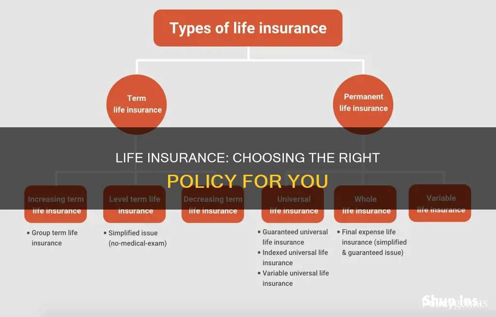 how do I know what life insurance to get