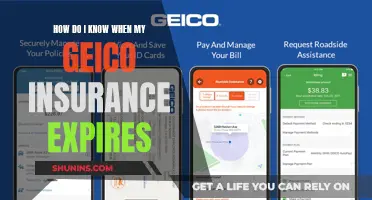 Unlocking the Mystery: When Does Your Geico Policy End?