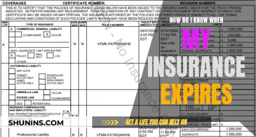 Understanding Your Insurance Expiration: Tips for Staying Covered