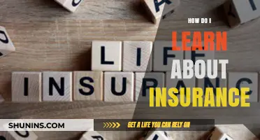 Mastering Insurance Basics: A Beginner's Guide to Understanding Coverage