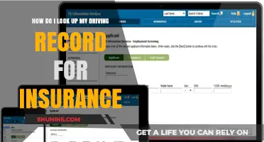How to Access Your Driving Record for Insurance Purposes Easily