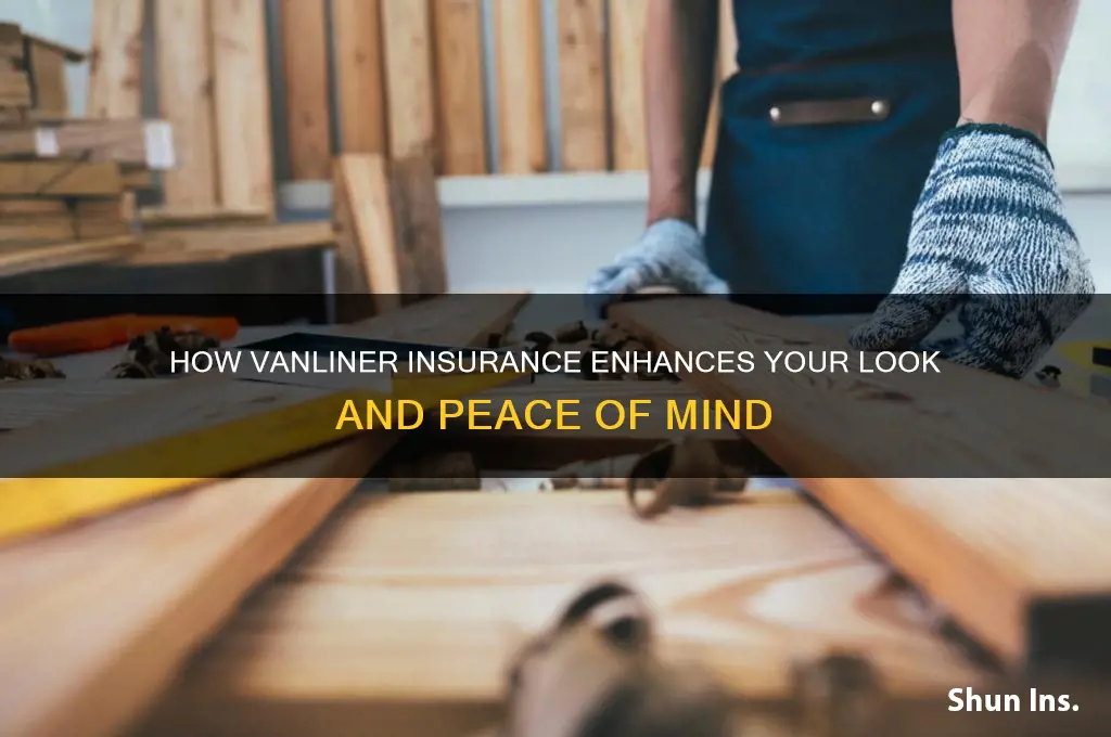 how do i look with vanliner insurance