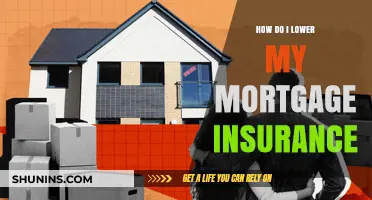 Strategies to Reduce Mortgage Insurance Costs