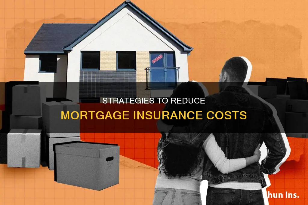 how do I lower my mortgage insurance
