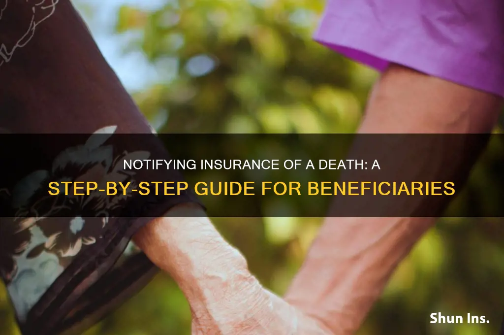 how do i notify insurance of a death