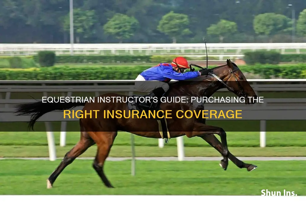 how do i purchase insurance as an equestrian instructor