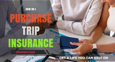A Comprehensive Guide to Purchasing the Right Trip Insurance