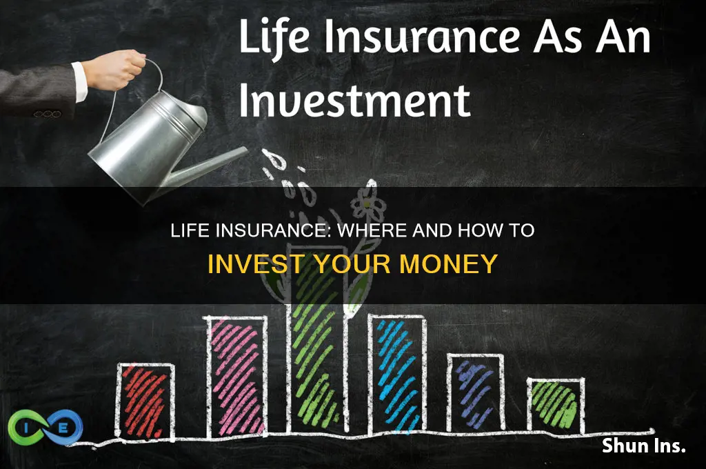 how do I put my money in life insurance