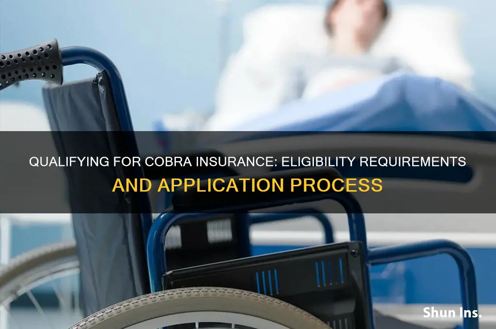 how do i qualify for cobra insurance