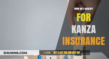Qualifying for Kanza Insurance: Eligibility Requirements and Application Tips