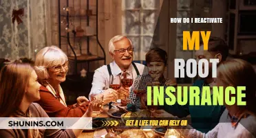 Reactivate Root Insurance: Simple Steps to Restore Your Coverage Today