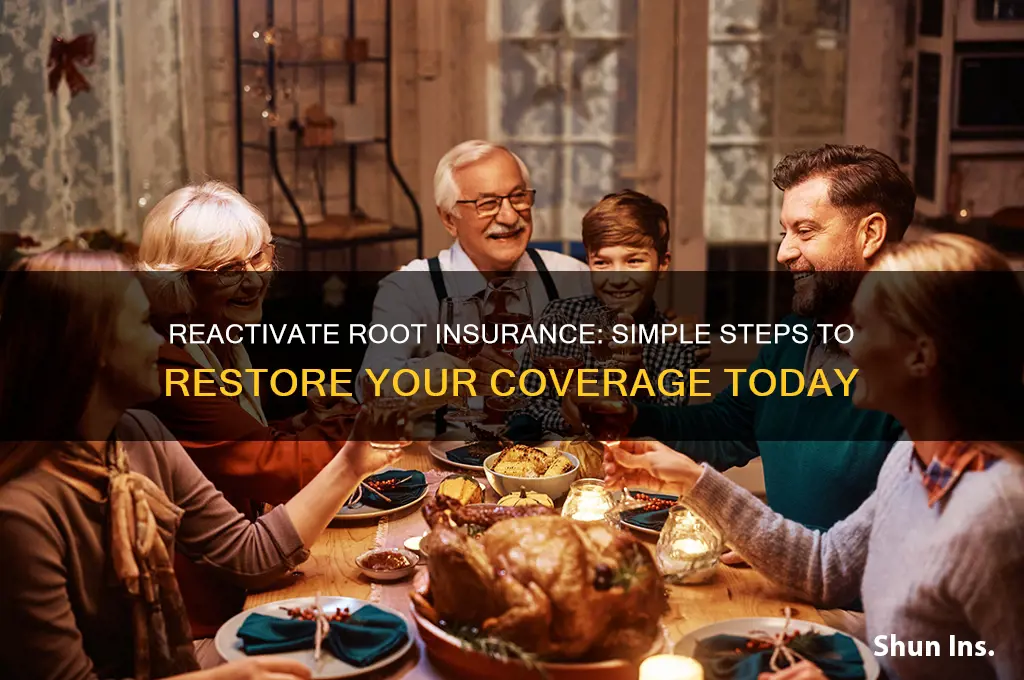how do i reactivate my root insurance