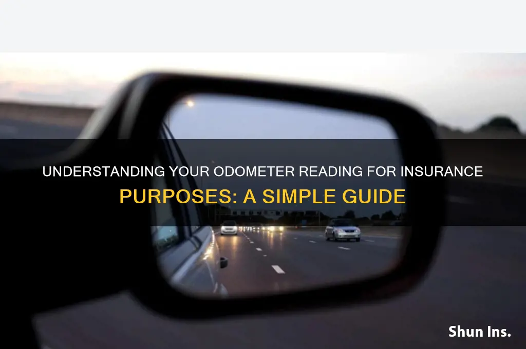 how do i read my odometer for insurance