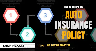 Auto Insurance Renewal: Navigating the Policy Renewal Process